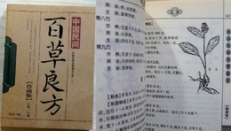 中国民間百草良方　中国民間本草偏方大全(二)　珍蔵版